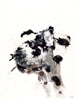JORGE FERNÁNDEZ ALDAY: ANIMA XXIII