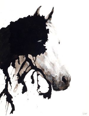 JORGE FERNÁNDEZ ALDAY: ANIMA XXIV