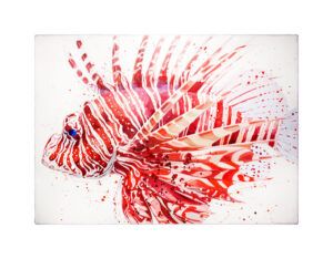 KIKU POCH: LION FISH (Small)