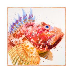 KIKU POCH: CAP ROIG (Large)