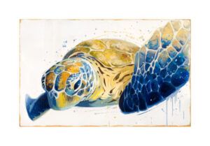 KIKU POCH: TORTUGA (Large)