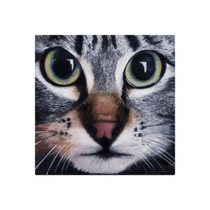 SISCA COLL: KIKU (Small)