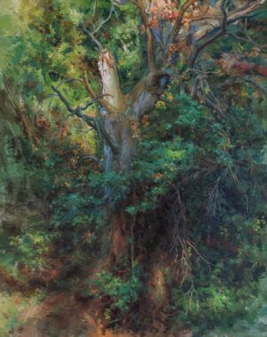 RAMON RUIPEREZ: VIEJO ROBLE