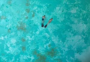 CRISTINA BLANCH: MEDITERRANIA III