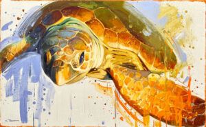 KIKU POCH: TORTUGA