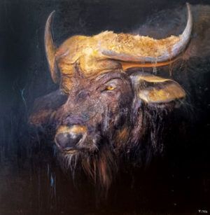 TONI YLL: MIRADA INDOMABLE