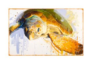 KIKU POCH: TORTUGA II (Small)
