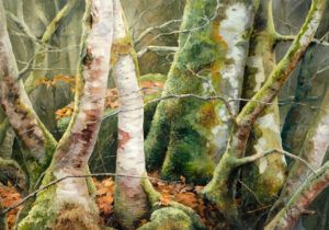 LLUÍS VILAR FABRÉ: RETORN AL BOSC