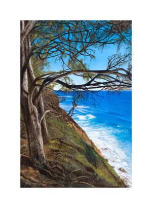SISCA COLL: CALA ESCORXADA (Small)